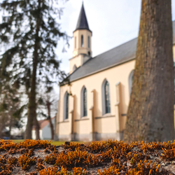 Ev. Kirche Cumlosen